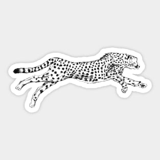 Cheetah print Sticker